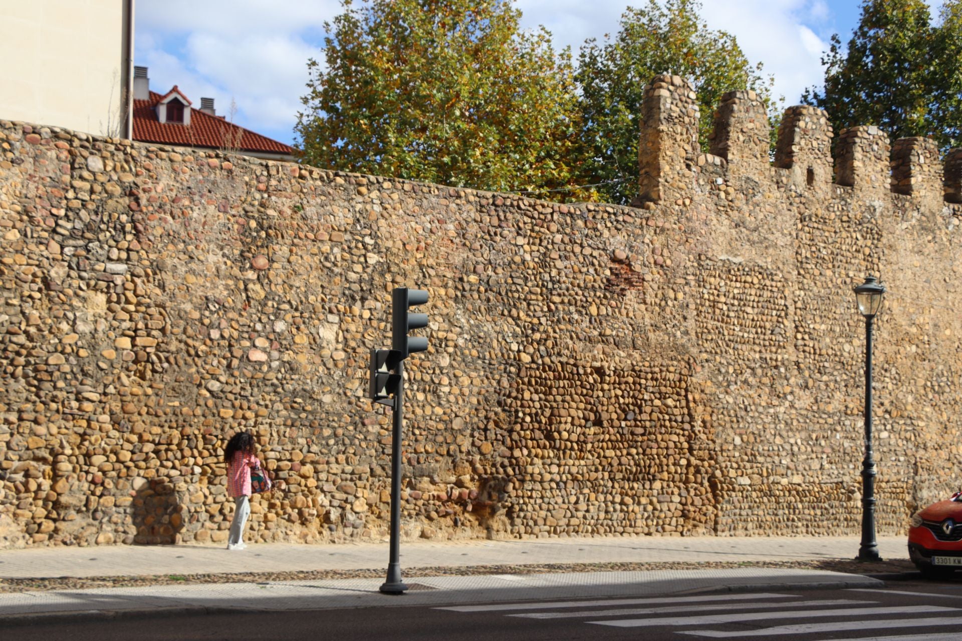 Mal estado de las cercas de León