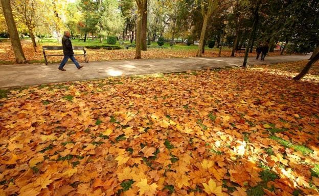 El sol volverá a hacer acto de presencia este lunes en León