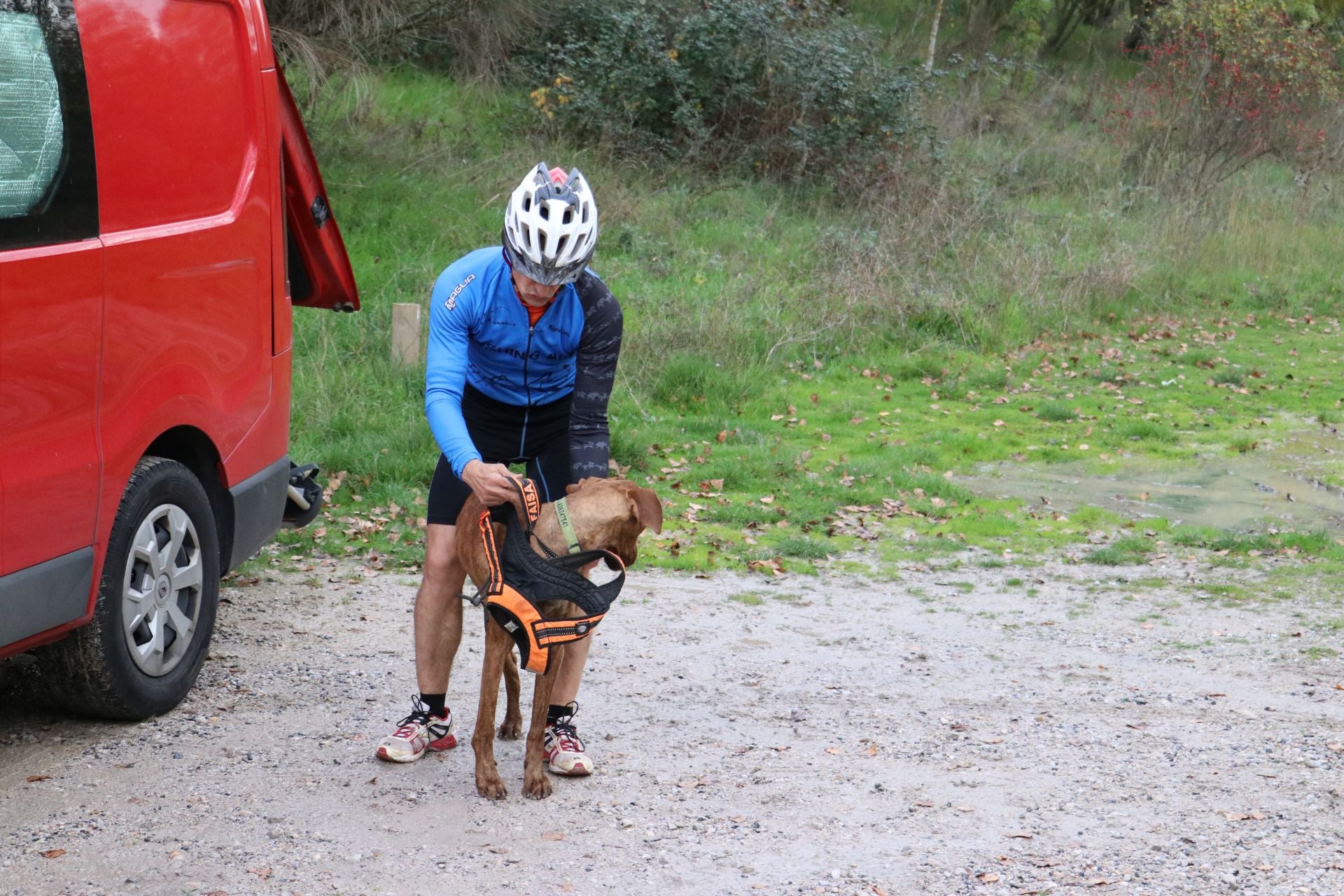 Entrenamiento de mushing en León