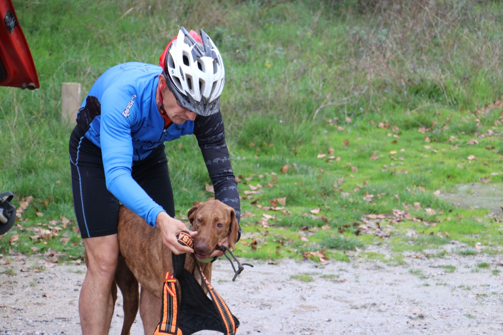 Entrenamiento de mushing en León