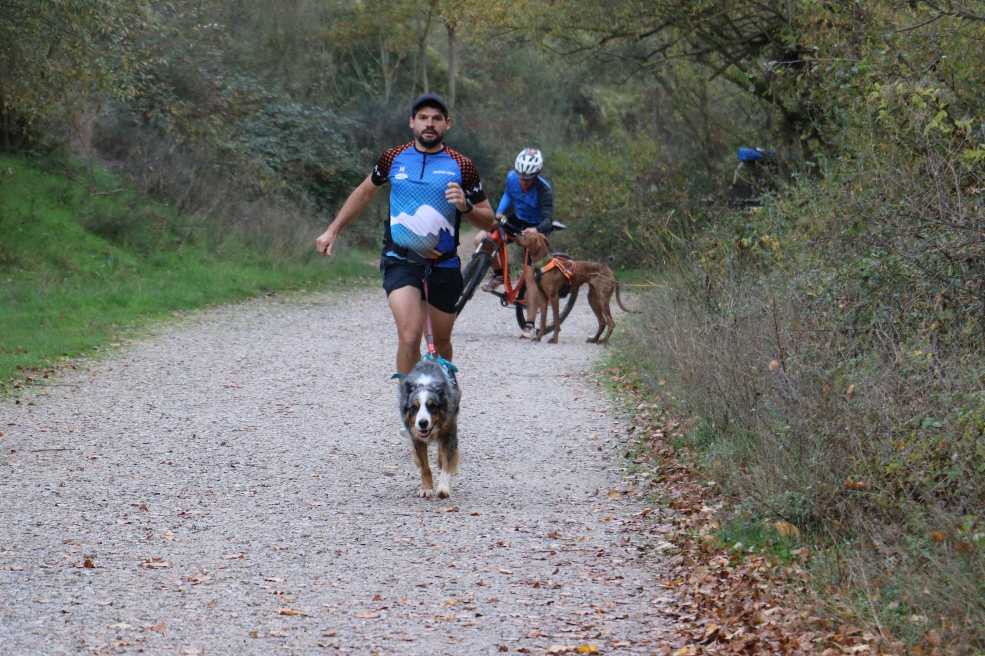 Entrenamiento de mushing en León