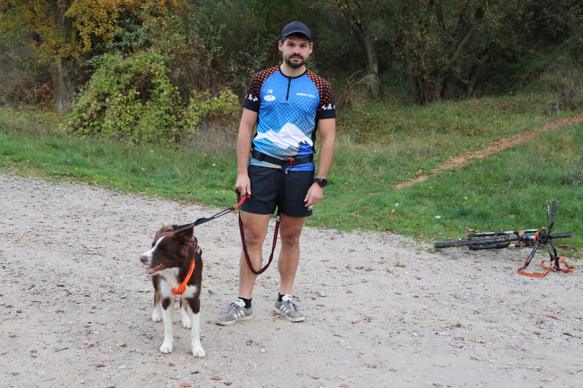 Entrenamiento de mushing en León