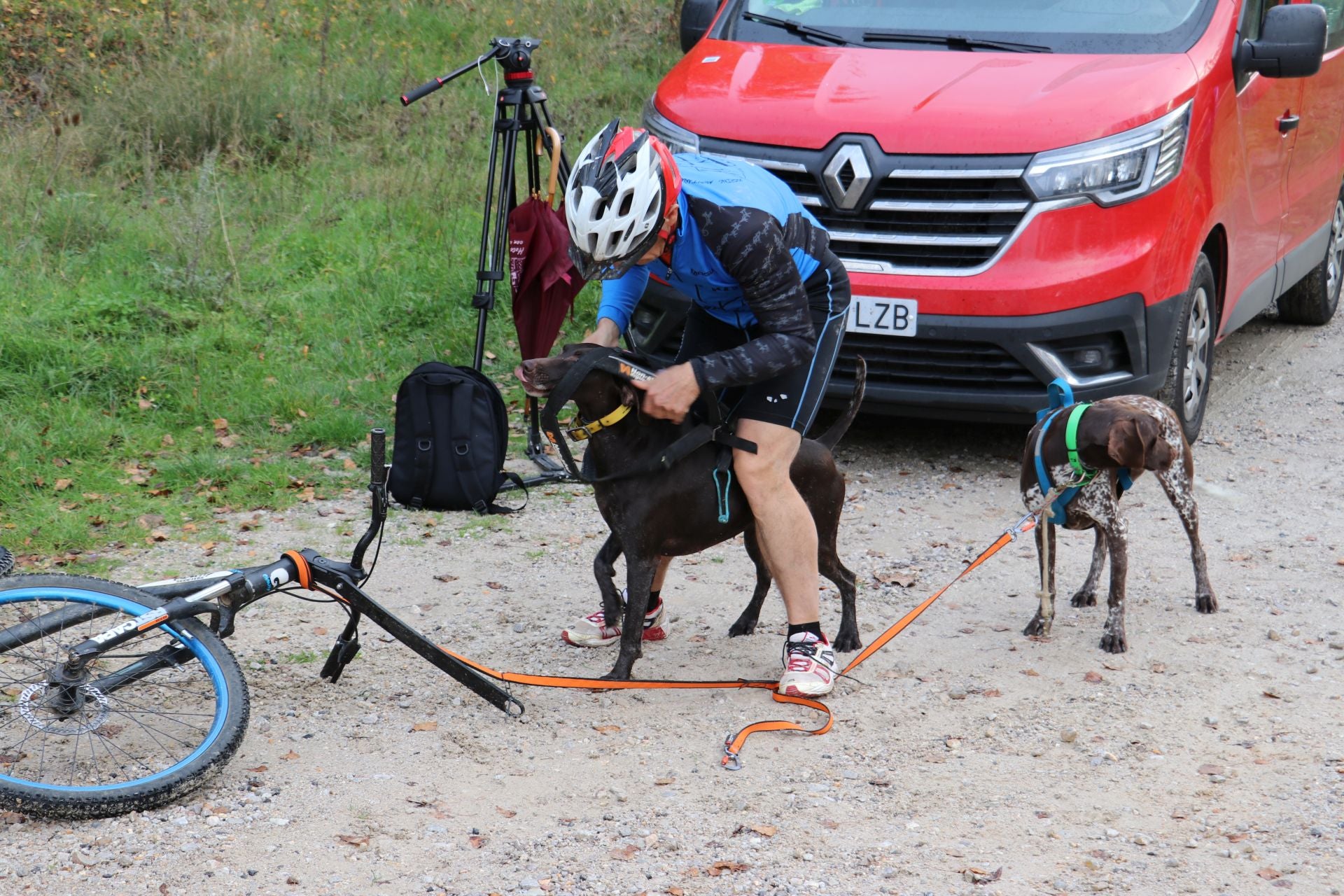 Entrenamiento de mushing en León