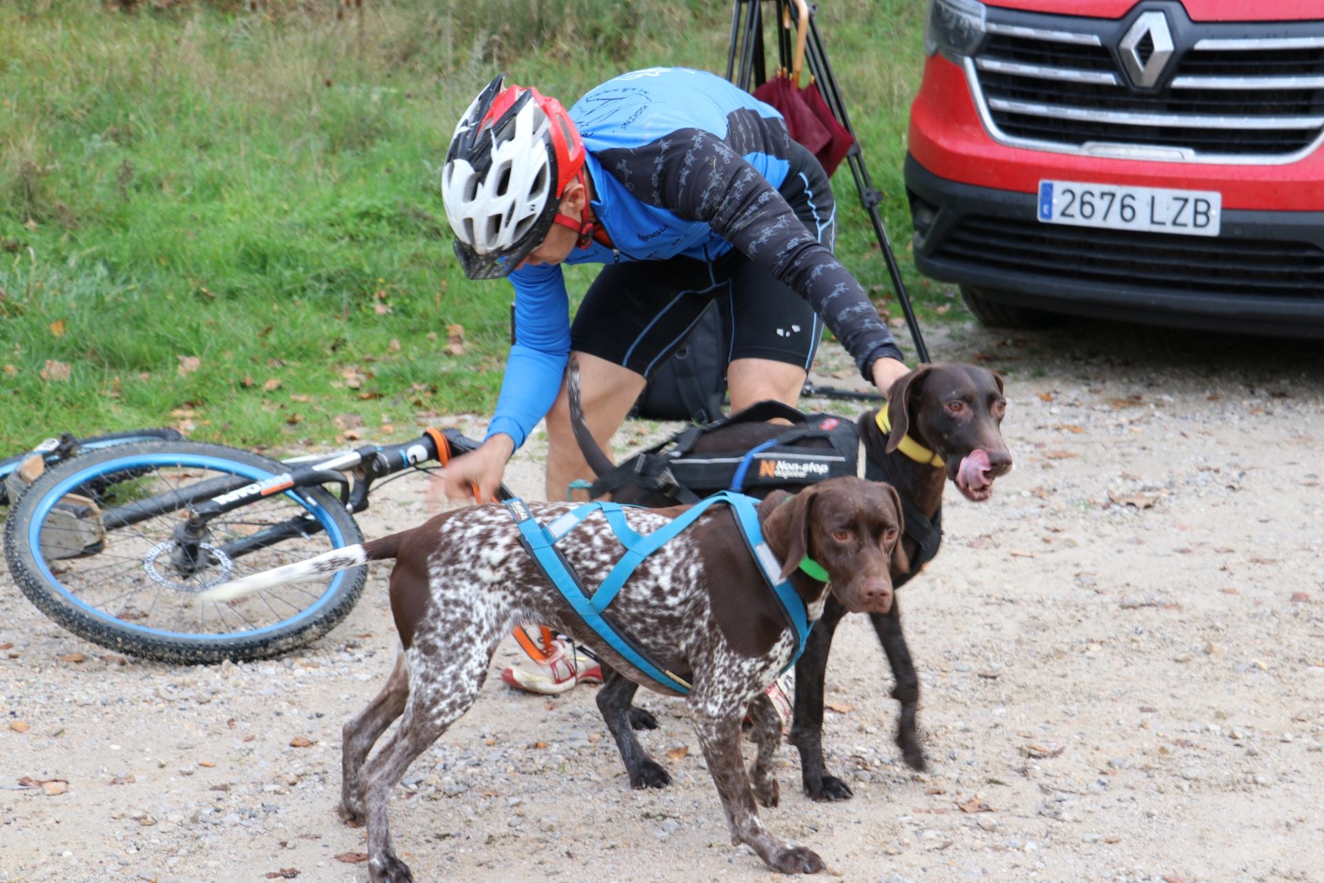 Entrenamiento de mushing en León