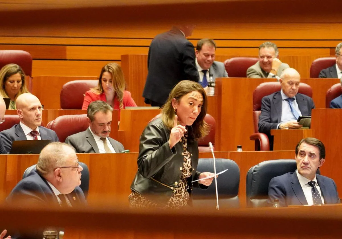 La consejera de Agricultura, Ganadería y Desarrollo Rural, María González Corral, durante su intervención en la primera sesión del Pleno de las Cortes de Castilla y León