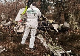 El equipo de criminalística de la Guardia Civil junto a lso restos de la avioneta siniestrada.