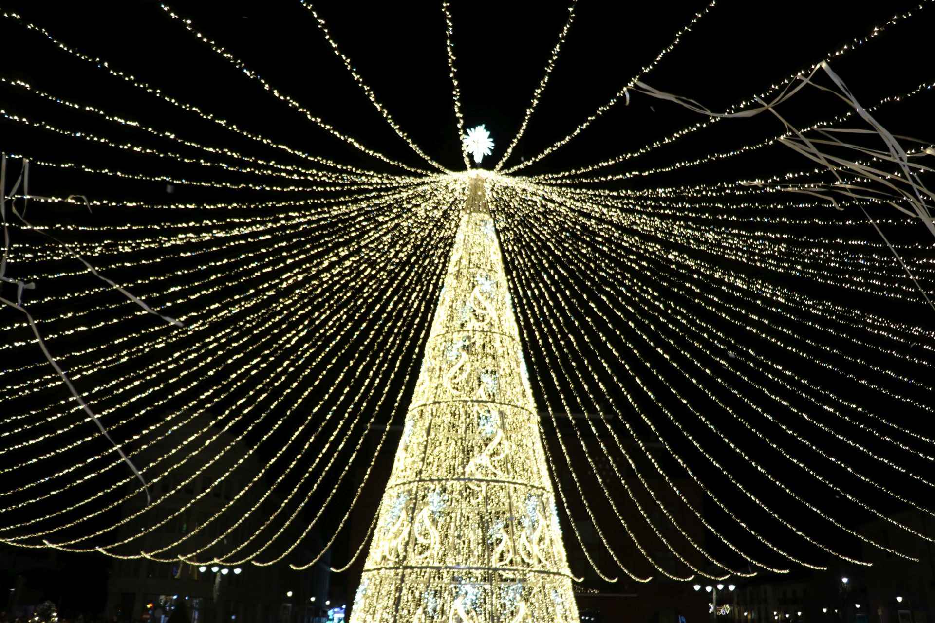 Encendido navideño en la ciudad de León