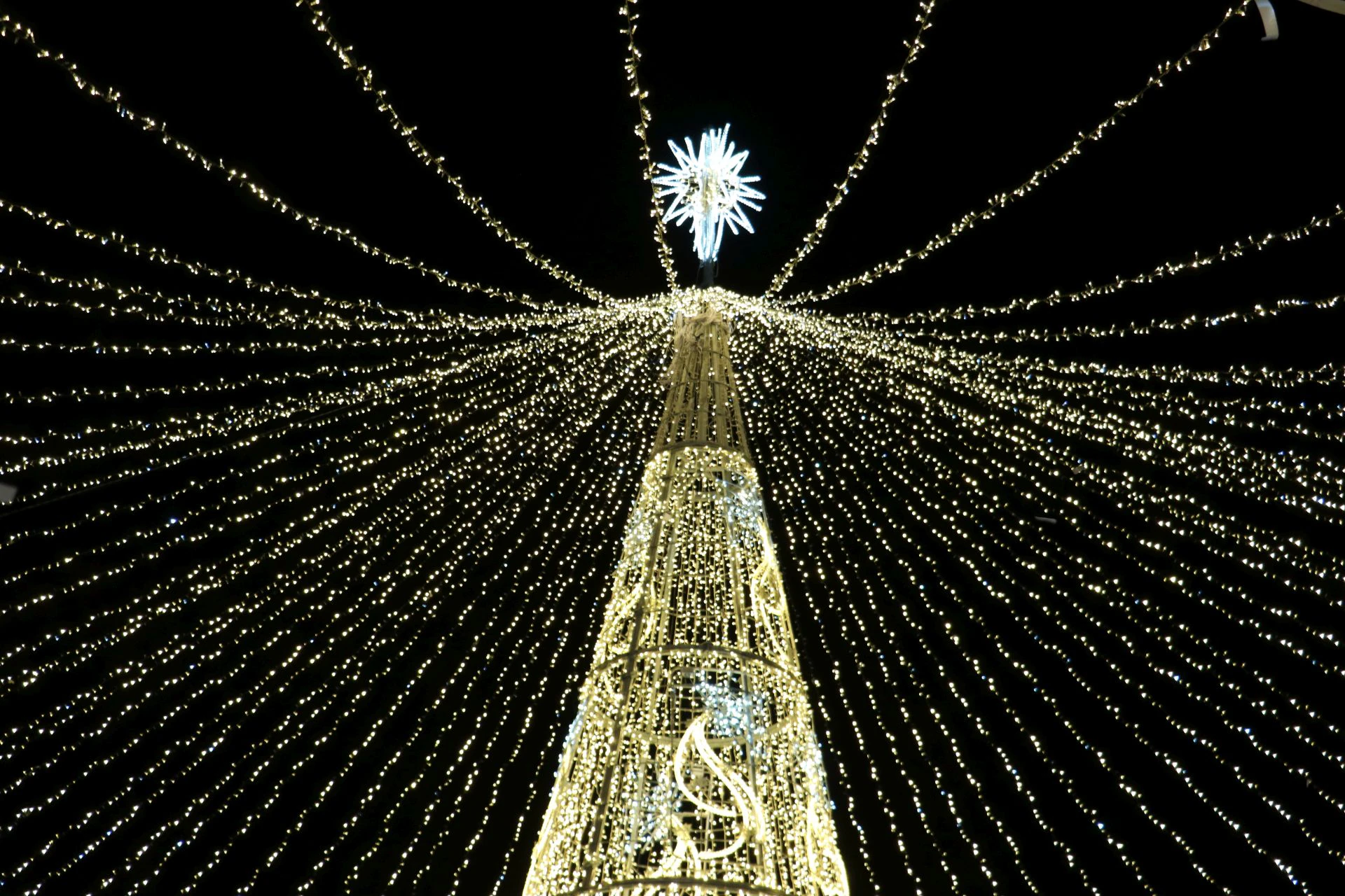 Encendido navideño en la ciudad de León