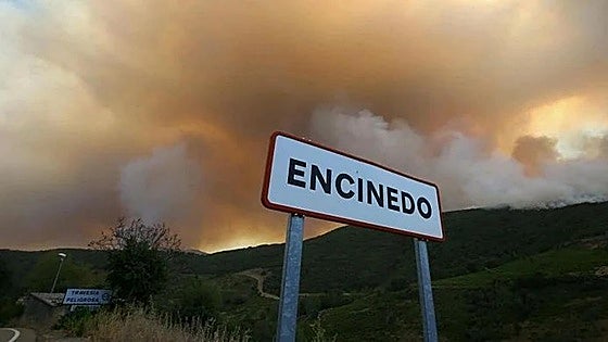 Medio Ambiente forestará 100 hectáreas en Truchas con una inversión de 400.000 euros