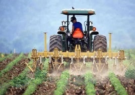 La Junta destina 26 millones a potenciar a aplicar tecnología en el sector agrícola