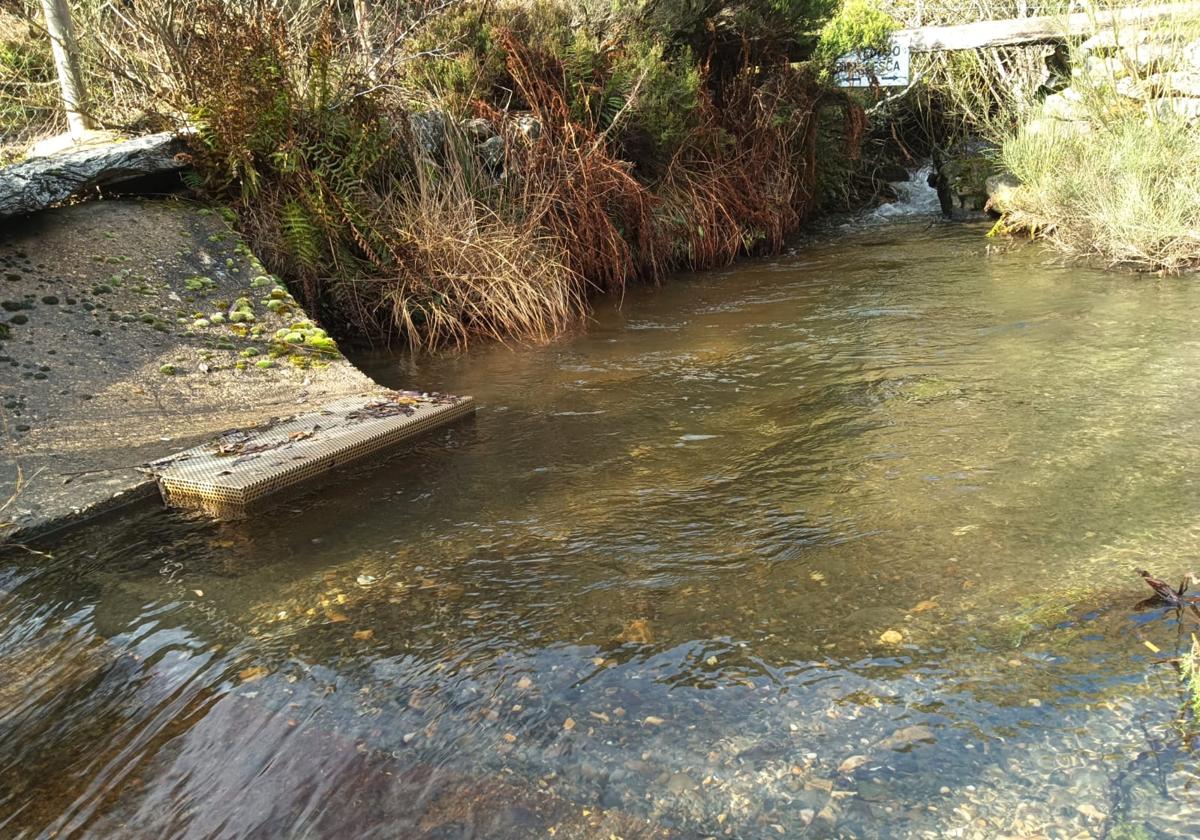 Zona de captación de agua para uso doméstico desde un reguero.