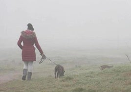 Niebla en la provincia.