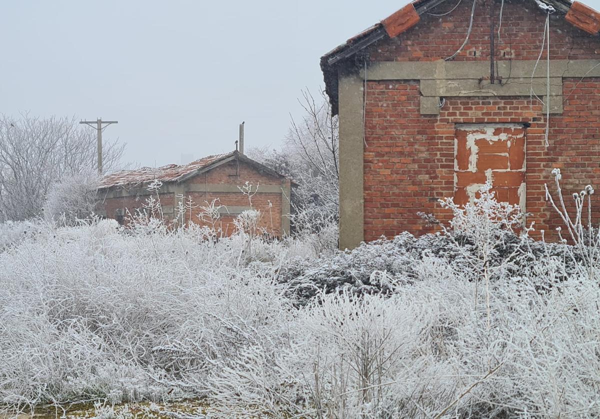 Una fuerte cencellada equivocó a muchos con una posible nevada.