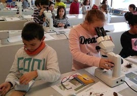 Laboratorio de un centro escolar.