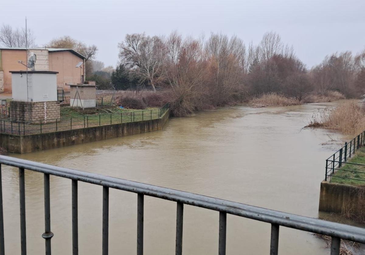 Situación del río Cea a 27 de enro de 2025.