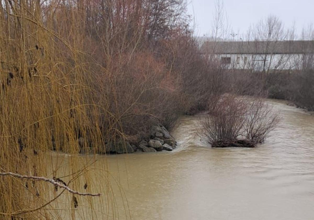 Río Cea a su paso por Sahagún