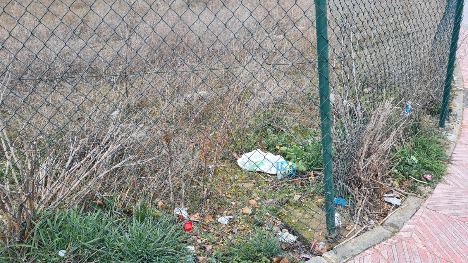 Basura acumulada junto a la estación de trenes