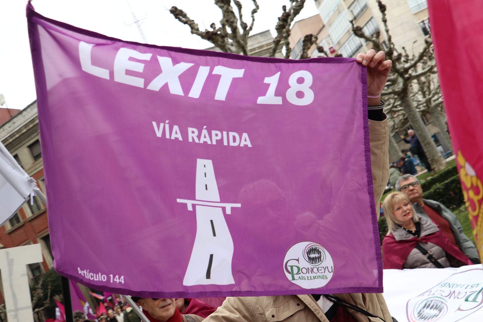 Las imágenes de la manifestación del 16-F en León