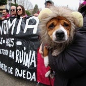 El 16-F, manifestación por el futuro de León, vista por Peio García