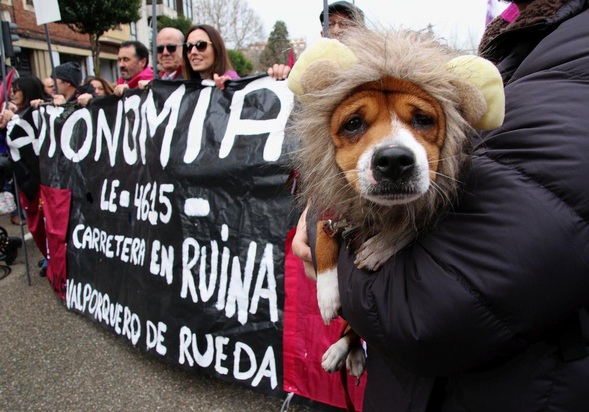 El 16-F, manifestación por el futuro de León, vista por Peio García