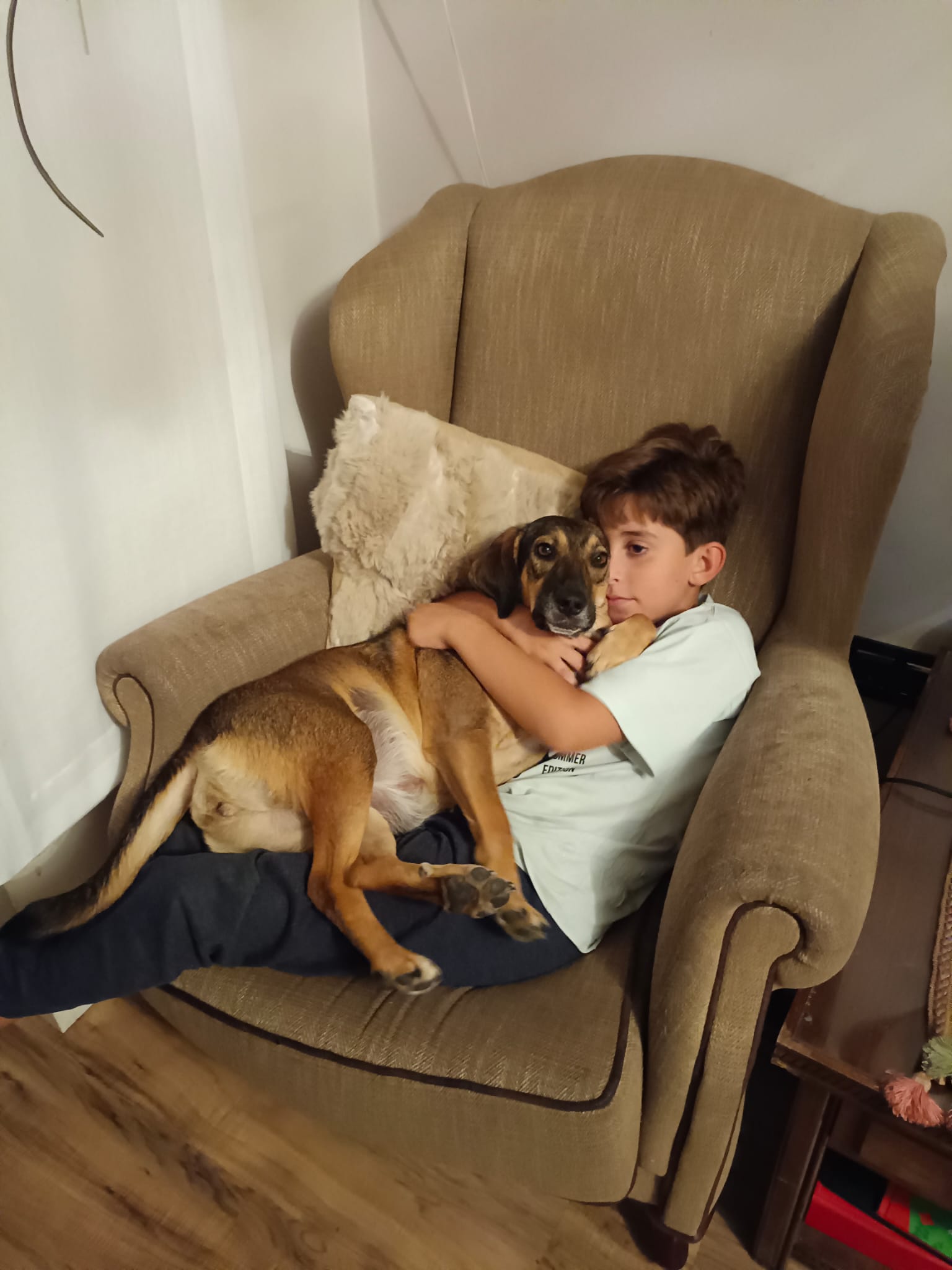 Chula, es una perrita adoptada en la protectora de León por lo que su edad es sorpresa, aunque se le calculan unos 6 años. En las fotos sale con Francisco González y nos leen desde León