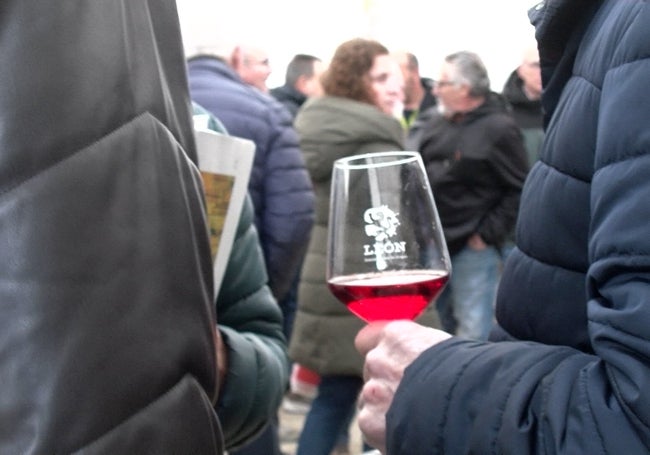 Este alto nivel de producción no ha pasado desapercibido por los expertos, que han premiado a los vinos de la DO con más de 84 medallas