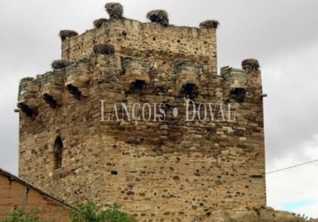 Imagen de la torre del castillo.