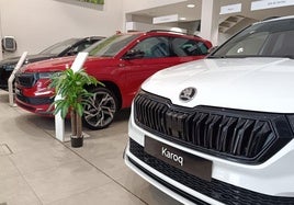 Vehículos de Telenauto Škoda