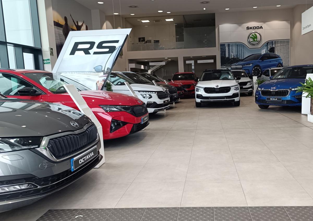 Imagen secundaria 1 - Vehículos de Telenauto Škoda