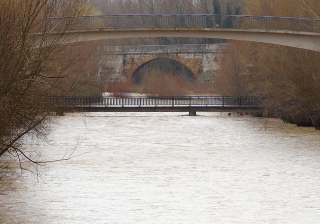 El río Bernesga en león.