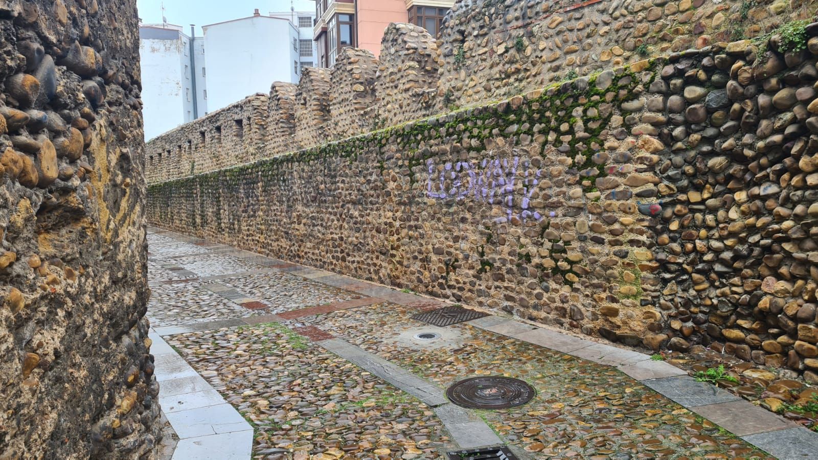 Así se encuentra el paseo de las Cercas de León