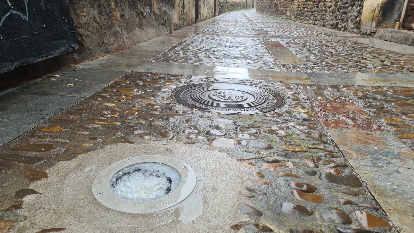 Así se encuentra el paseo de las Cercas de León
