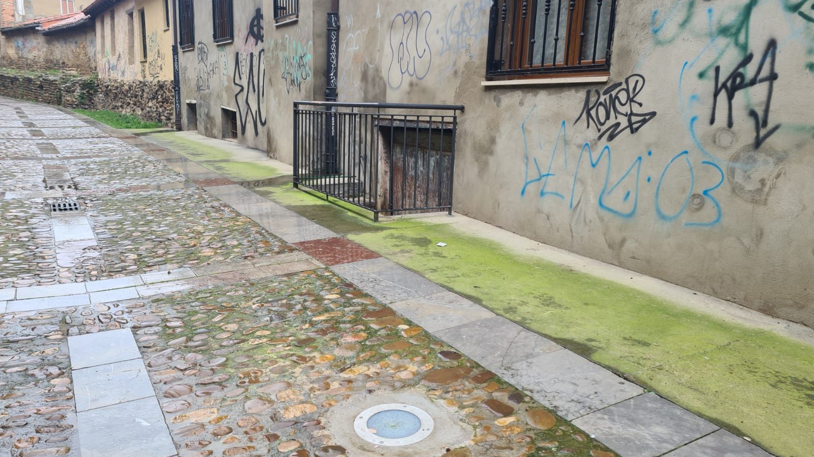 Así se encuentra el paseo de las Cercas de León