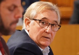 El portavoz del PP en la Diputación, David Fernández.