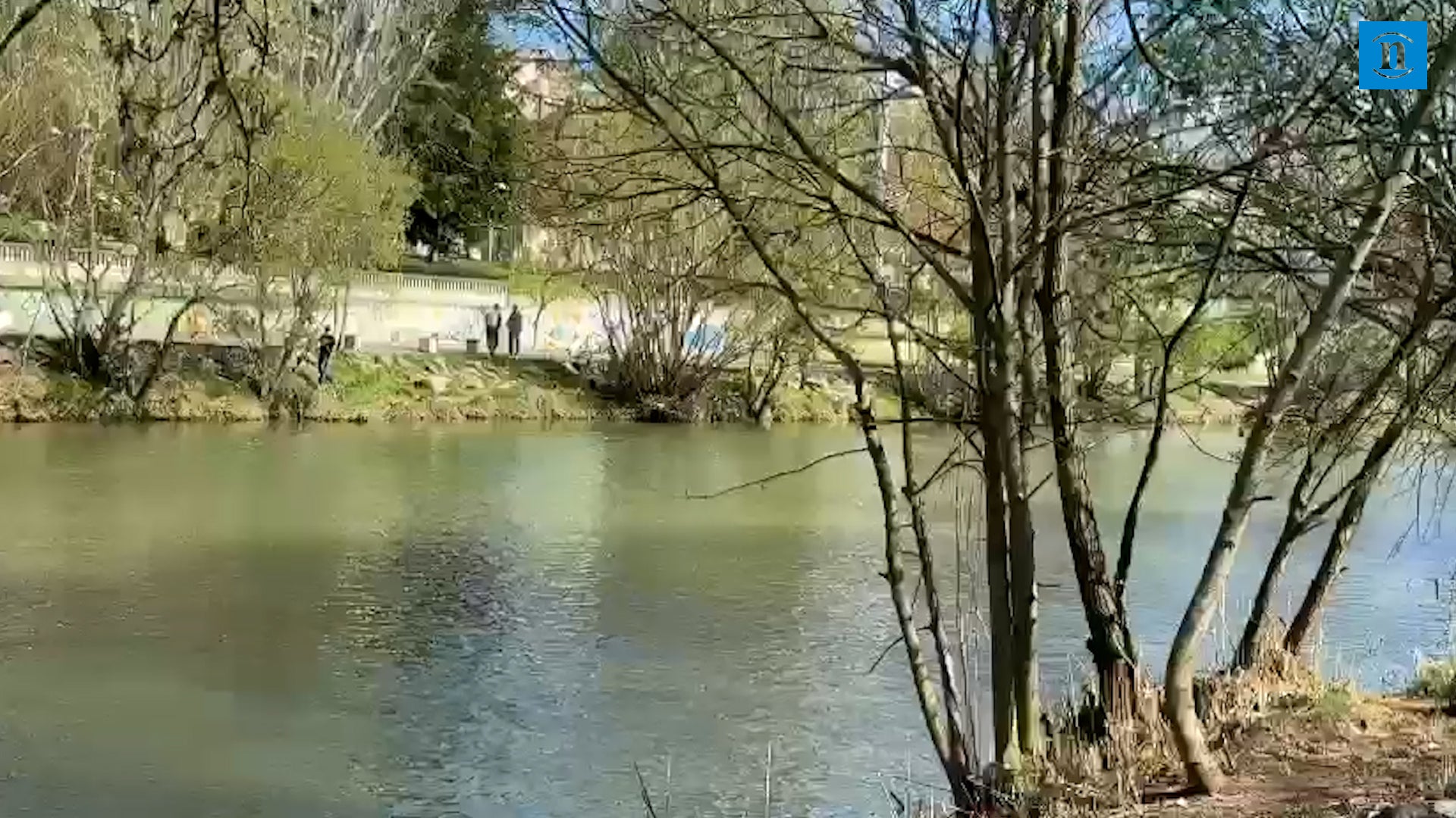 Así fue el rescate de la joven que se precipió al Torío para salvar a su perro