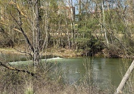 Imagen del lugar del suceso.