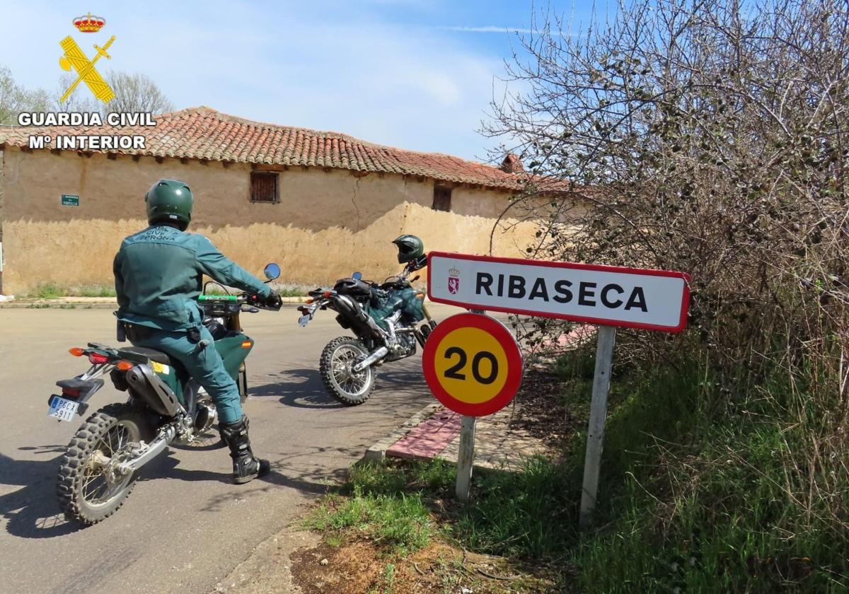 Investigados los responsables de un pitbull que causó lesiones a una mujer en un pueblo de León