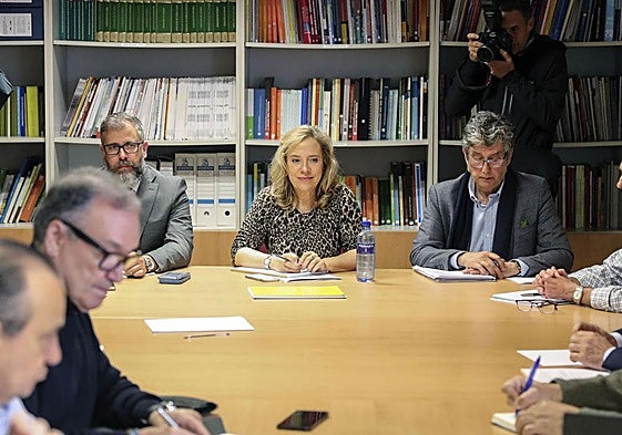 La consejera de Transición Ecológica, Industria y Comercio, Belarmina Díaz (c), asiste este lunes a una reunión de la comisión especial de investigación del accidente de la mina de Cerredo, constituida en el seno de la Comisión Regional de Seguridad Minera de Asturias.