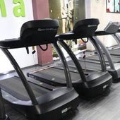 Cintas de correr en un gimnasio.