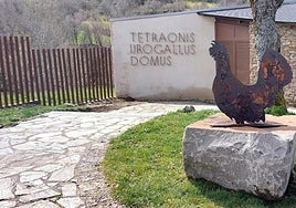 El voladero de urogallos.