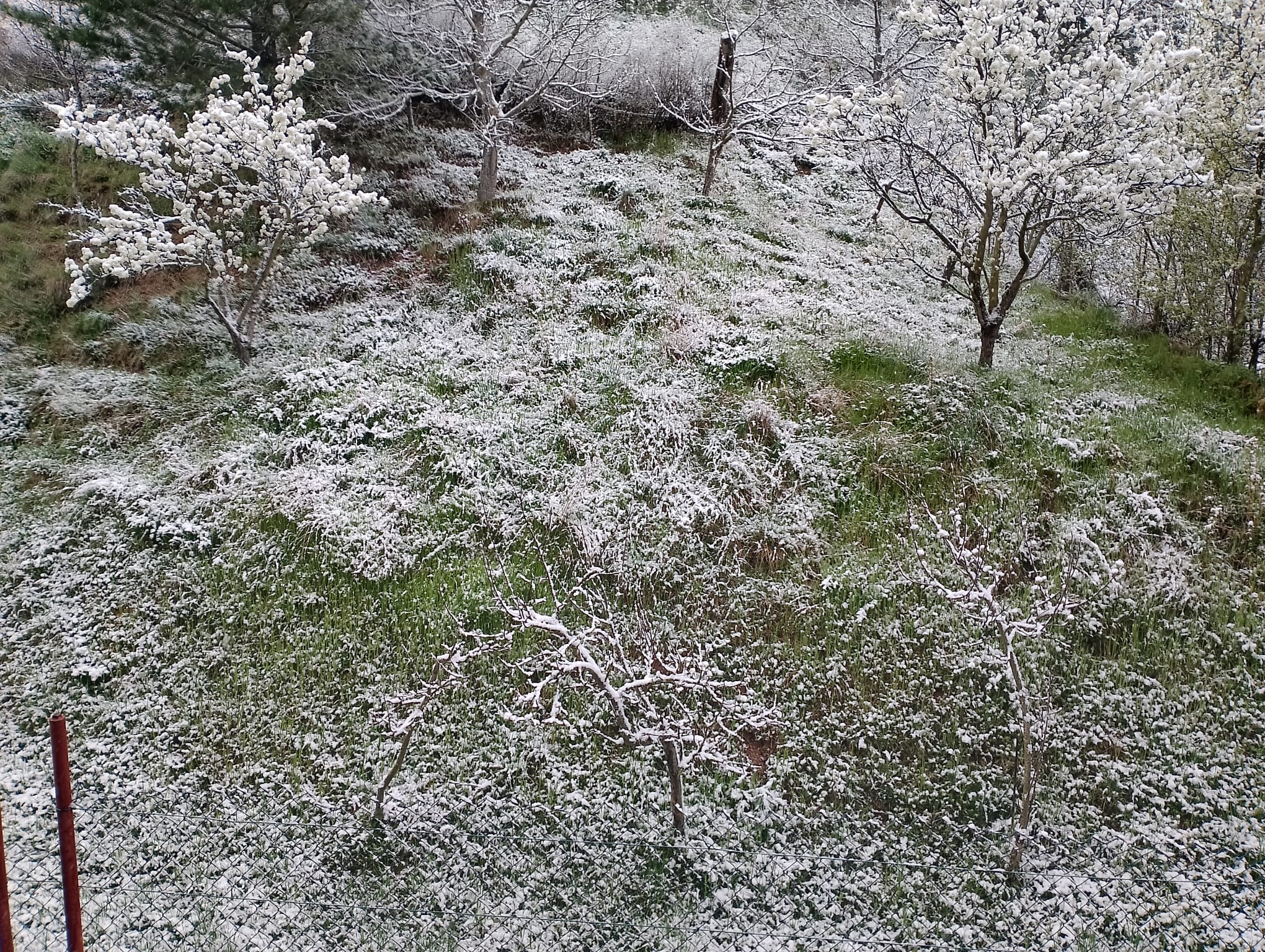 Nieve en Ciñera