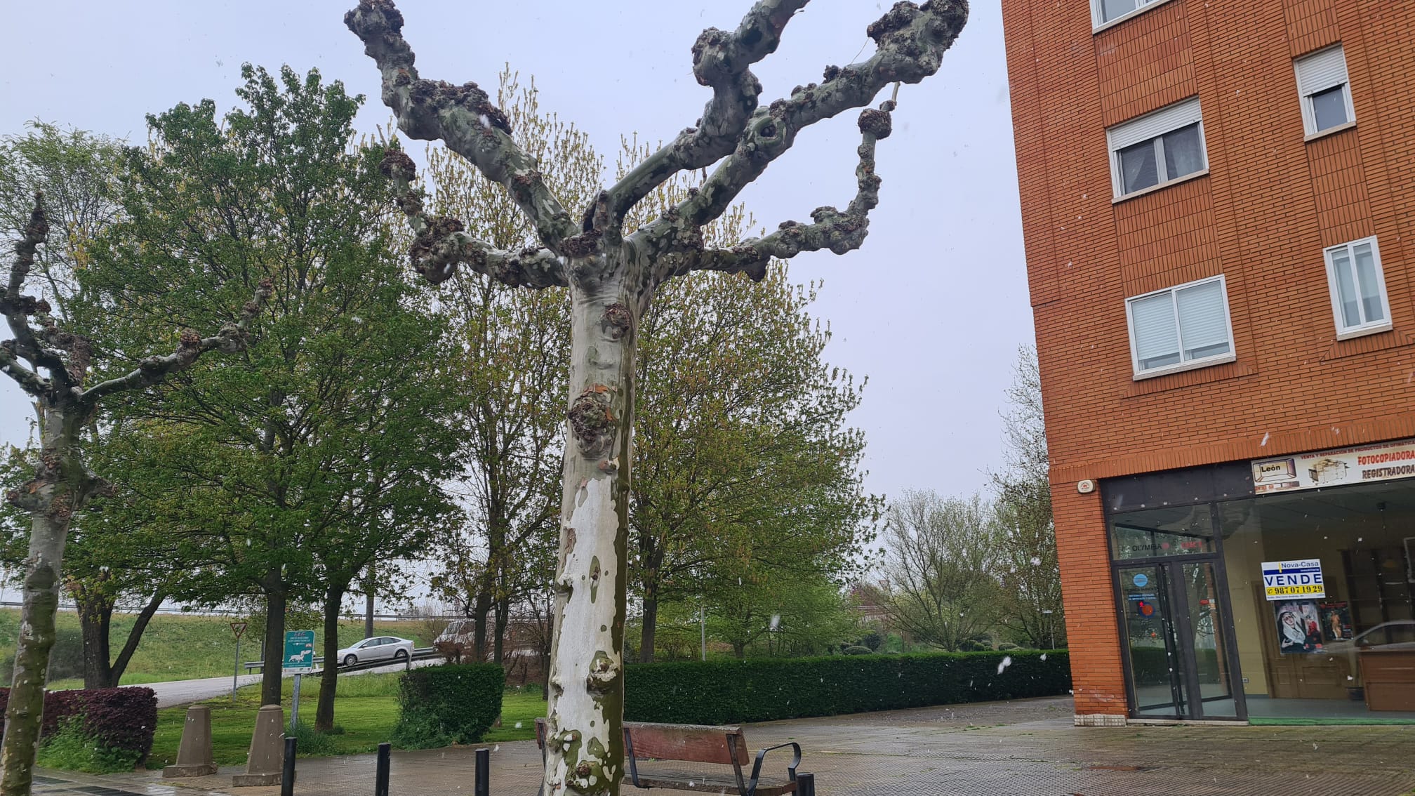 Nieve en Mariano Andrés, en León