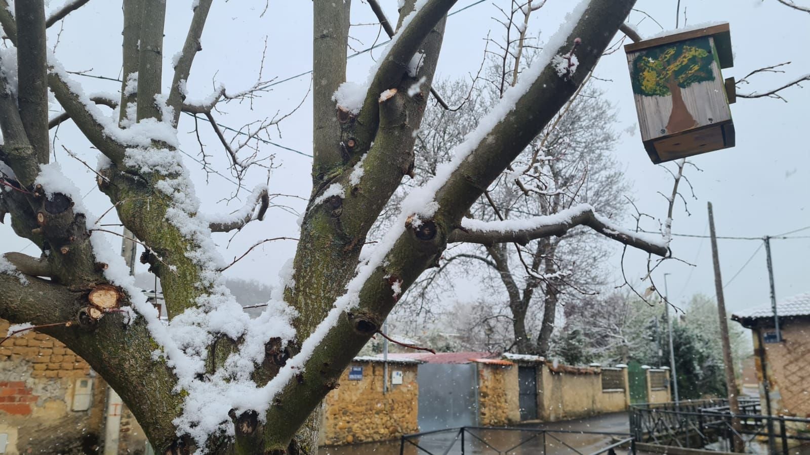 Nieve en Palacio de Torío