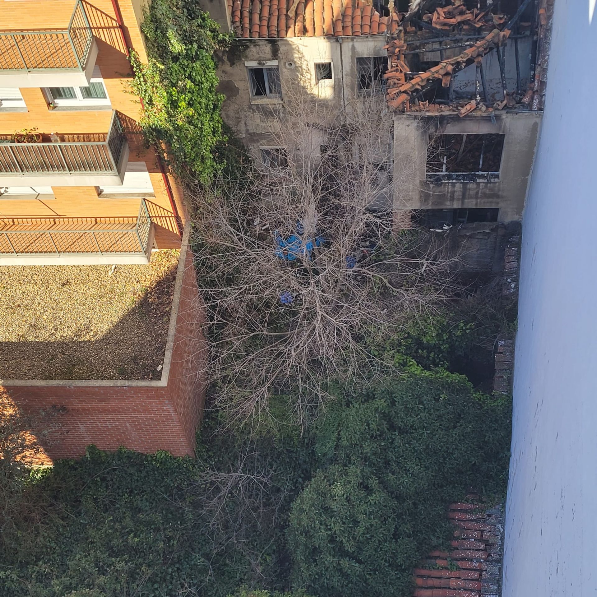 El estado «ruinoso» del número 19 de Santa Engracia, en imágenes