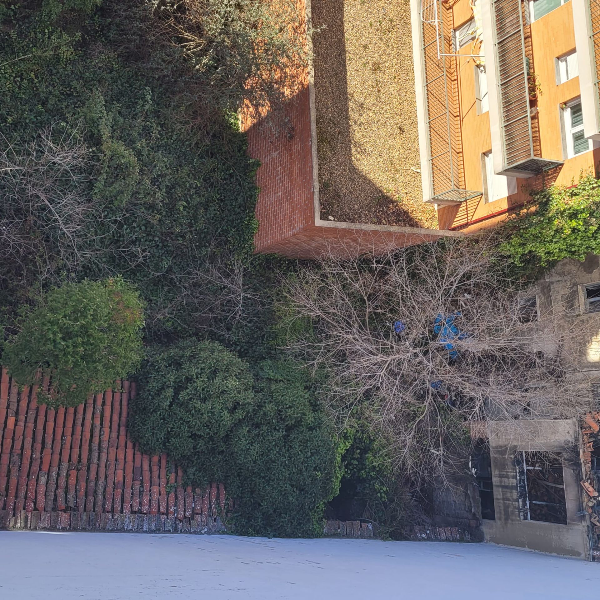 El estado «ruinoso» del número 19 de Santa Engracia, en imágenes