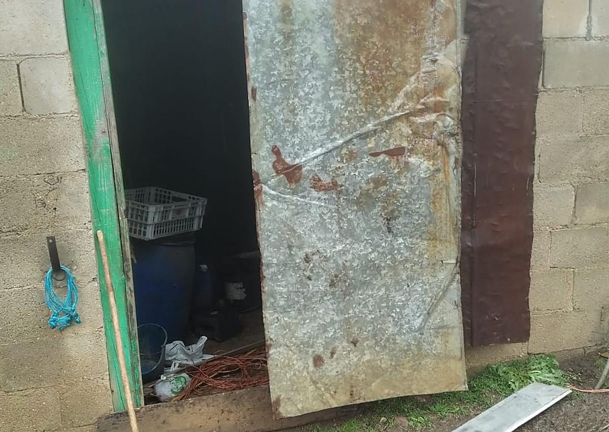 Imagen secundaria 1 - Imagen de los actos vandálicos.