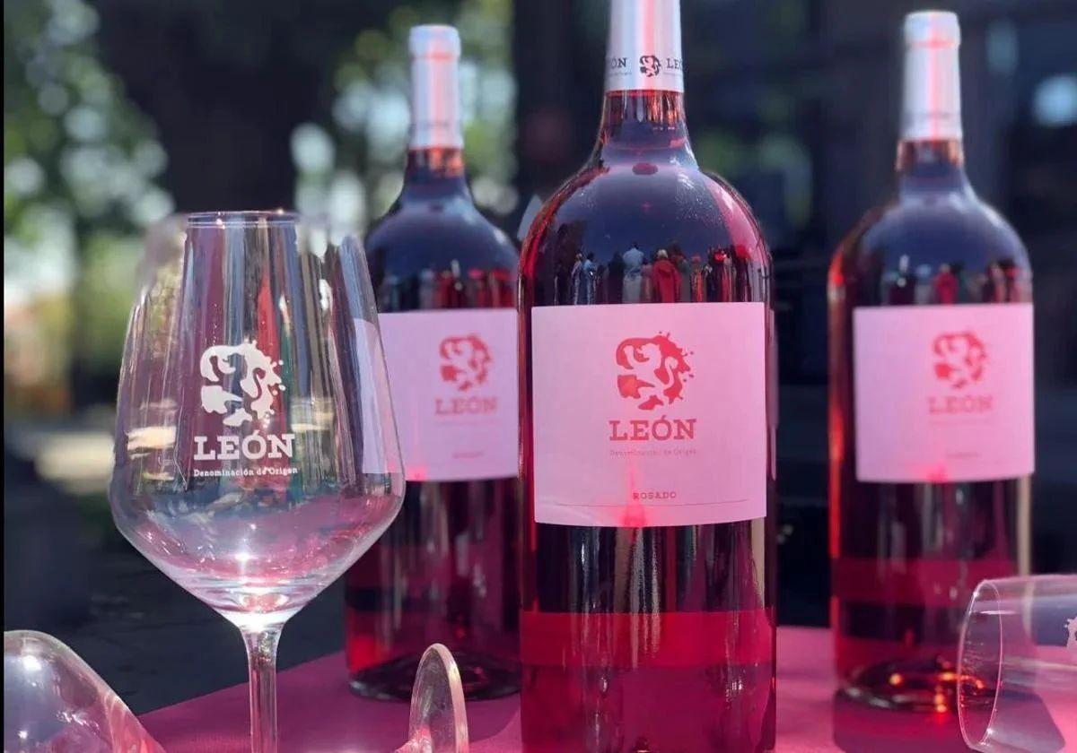 Los vinos de la DO León logran dos grandes oros y cinco oros en los premios Cinve y Virtus Lisboa