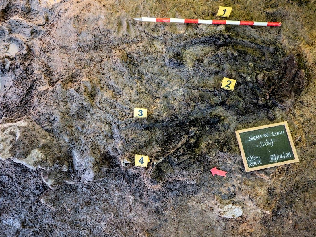 Exhumaciones de represaliados por el franquismo en la provincia de León