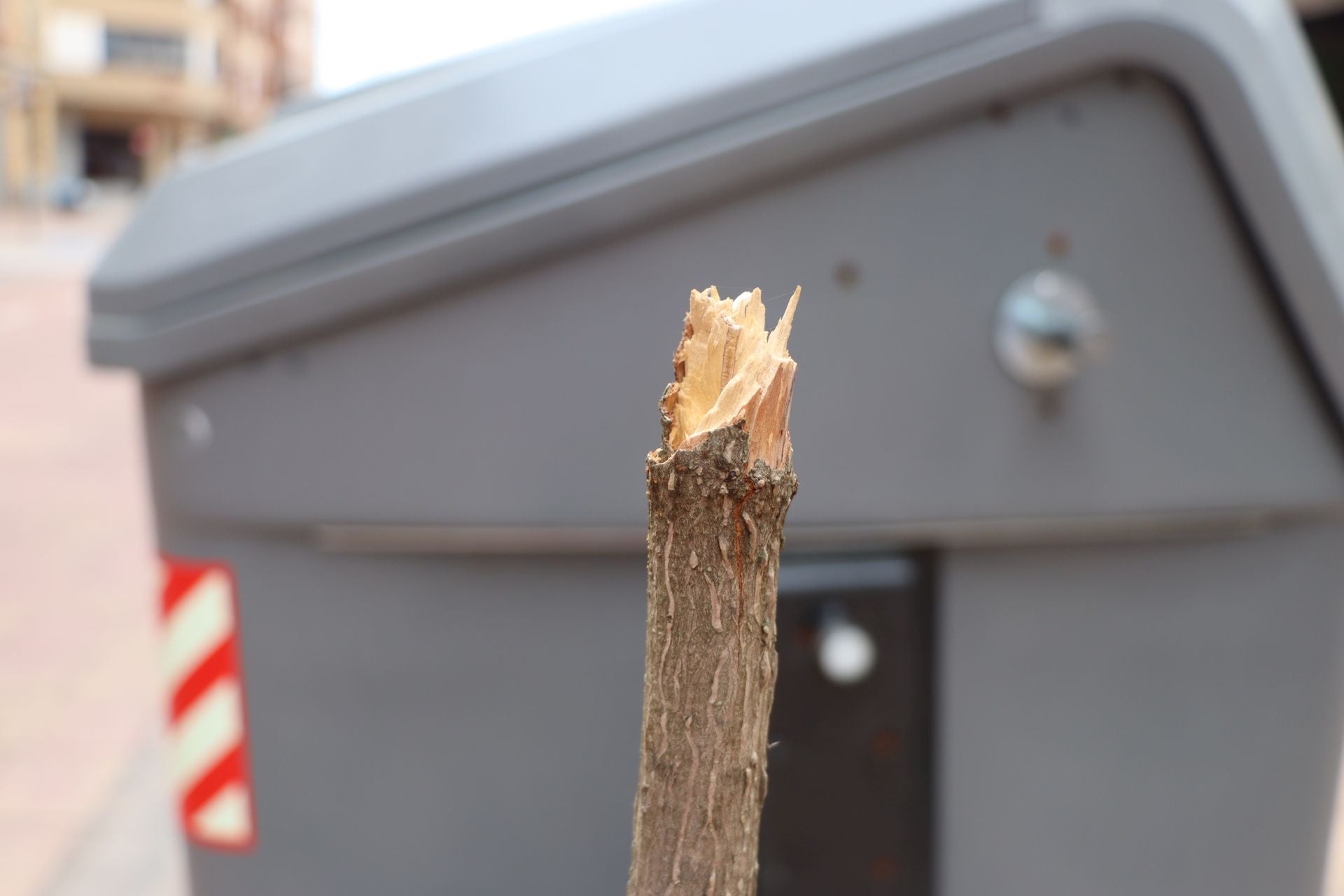 18 árboles destrozados en Padre Isla