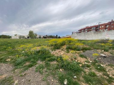 Las imágenes del abandono de Armunia